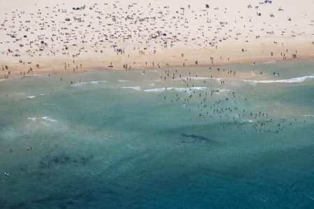 Aerial Image of BONDI BEACH BATHERS