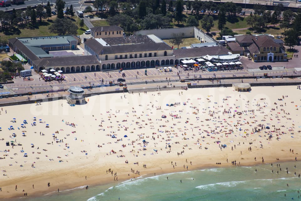 Aerial Image of Bondi Beach Bathers