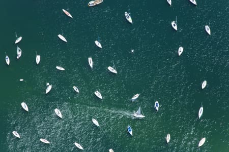 Aerial Image of RUSHCUTTERS BAY