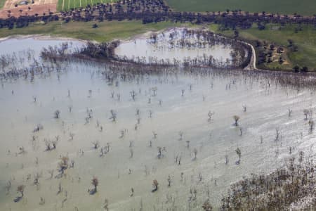 Aerial Image of WOOLSHED SWAMP IN BOORT