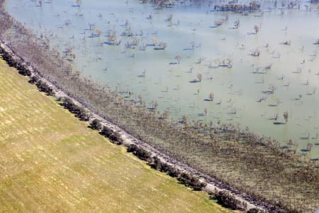 Aerial Image of WOOLSHED SWAMP IN BOORT