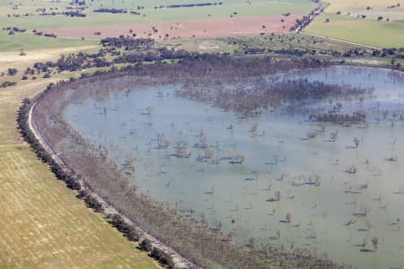 Aerial Image of WOOLSHED SWAMP IN BOORT