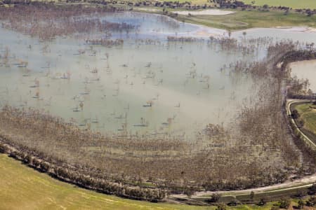 Aerial Image of WOOLSHED SWAMP IN BOORT