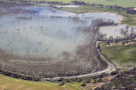 Aerial Image of WOOLSHED SWAMP IN BOORT