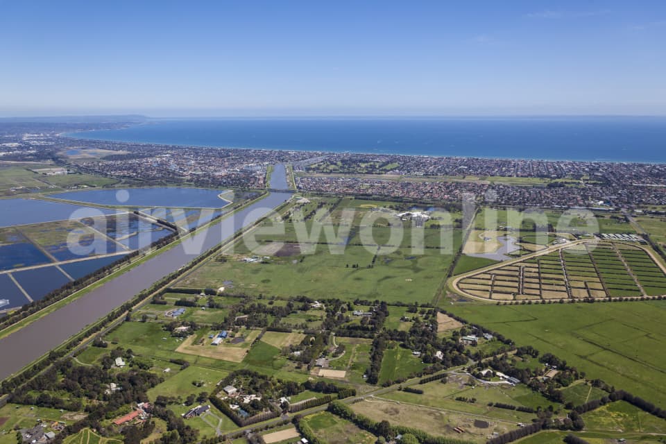 Aerial Image of Chelsea To Mornington