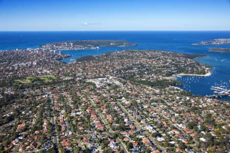 Aerial Image of BALGOWLAH