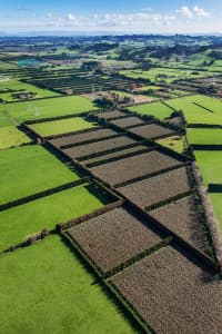 Aerial Image of ARDMORE LOOKING WEST