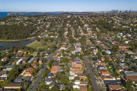 Aerial Image of BALGOWLAH