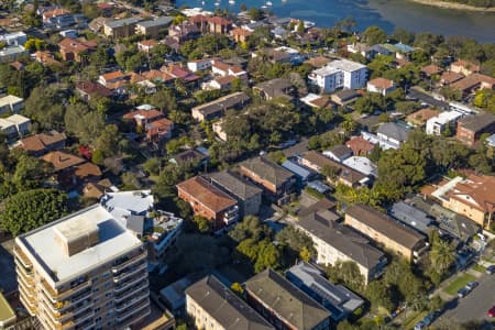 Aerial Image of BALGOWLAH