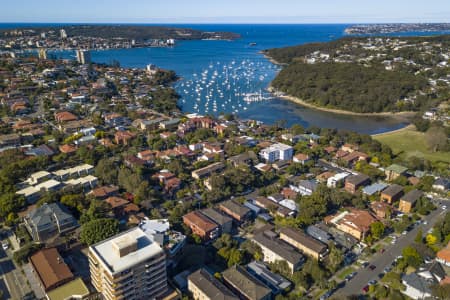 Aerial Image of BALGOWLAH