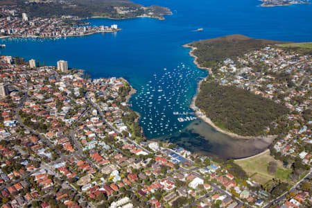 Aerial Image of BALGOWLAH