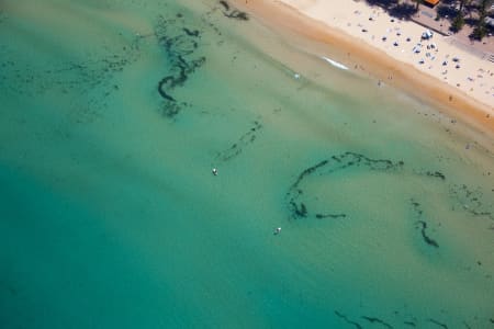 Aerial Image of MANLY