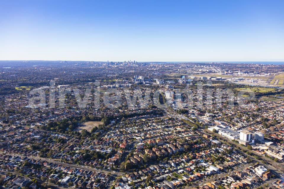 Aerial Image of Banksia