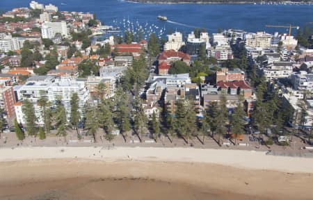 Aerial Image of MANLY