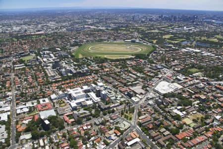 Aerial Image of RANDWICK