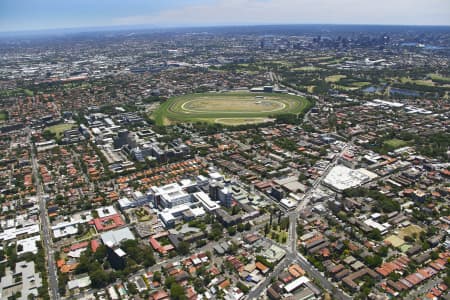 Aerial Image of RANDWICK
