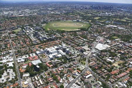 Aerial Image of RANDWICK