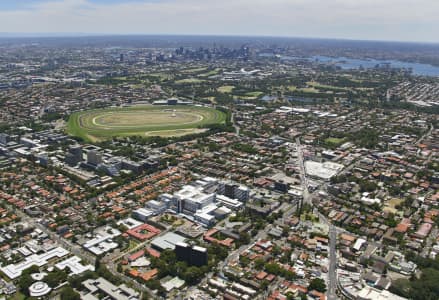 Aerial Image of RANDWICK