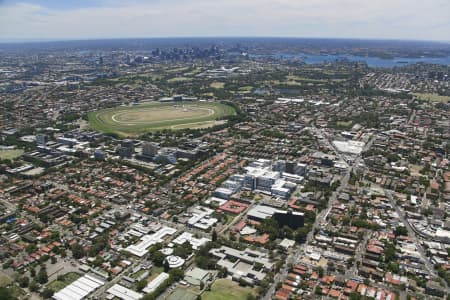 Aerial Image of RANDWICK