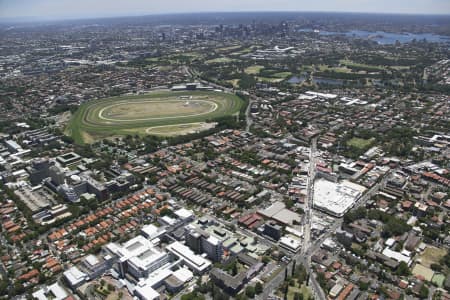 Aerial Image of RANDWICK