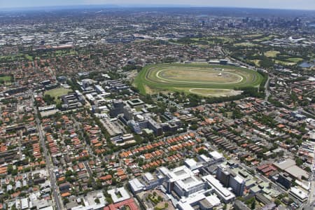 Aerial Image of RANDWICK