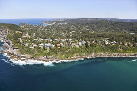 Aerial Image of WHALE BEACH