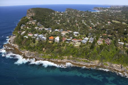 Aerial Image of WHALE BEACH