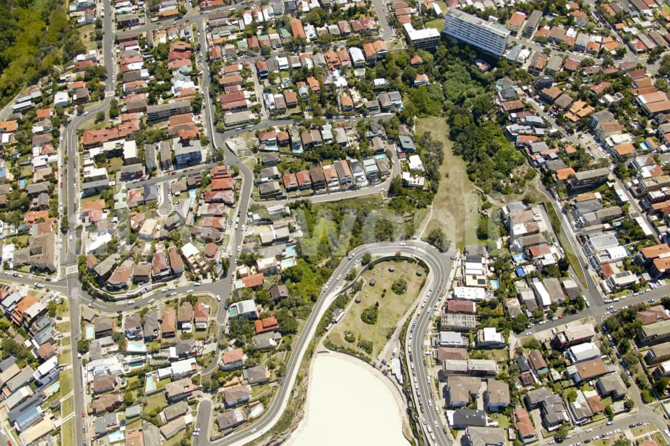 Aerial Image of Tamarama