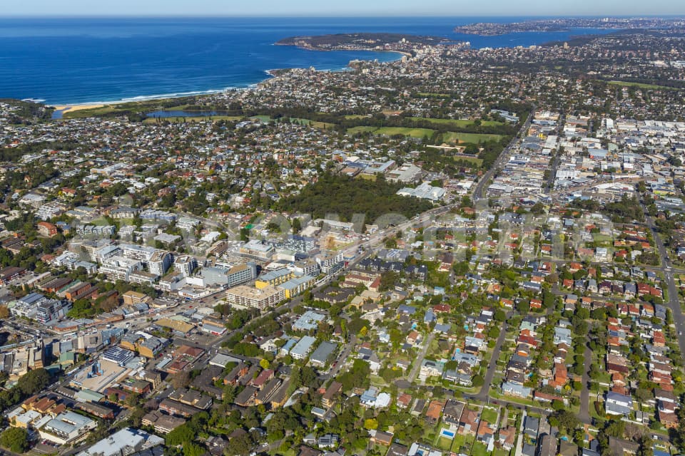 Aerial Image of Dee Why