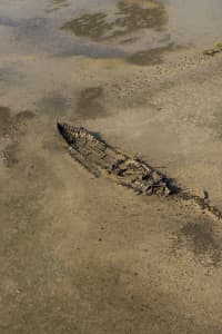 Aerial Image of SHIP WRECK
