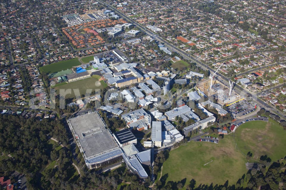 Aerial Image of Deakin University, Burwood