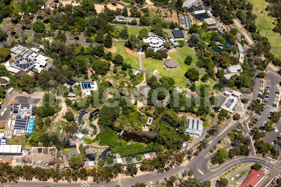 Aerial Image of Melbourne Zoo