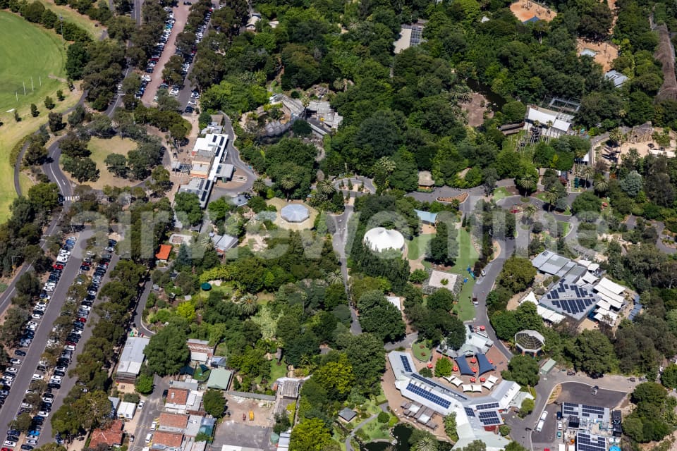Aerial Image of Melbourne Zoo