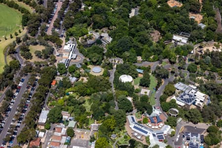 Aerial Image of MELBOURNE ZOO