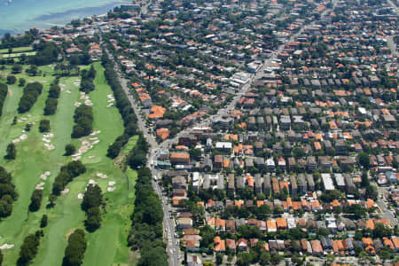 Aerial Image of ROSE BAY