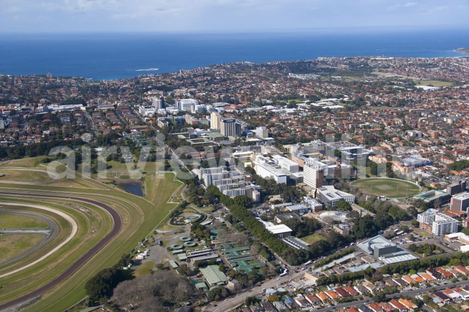 Aerial Image of Kensington to Coogee