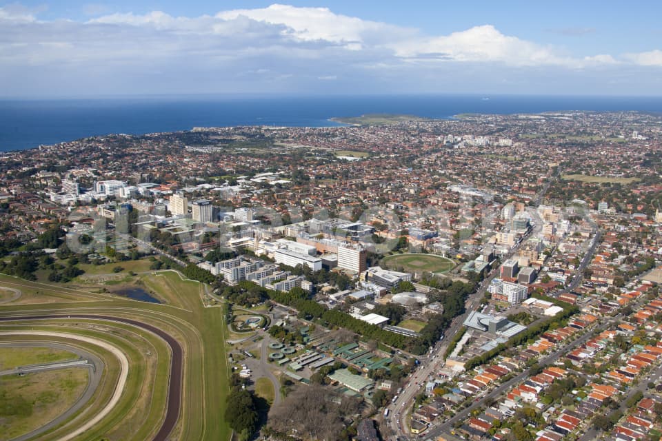 Aerial Image of UNSW and Kensington
