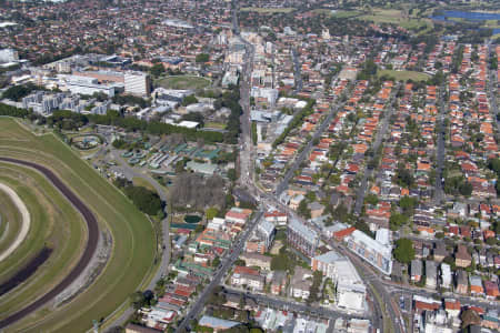 Aerial Image of KENSINGTON NSW