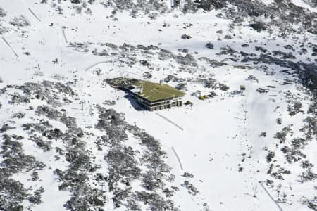 Aerial Image of BLUE COW