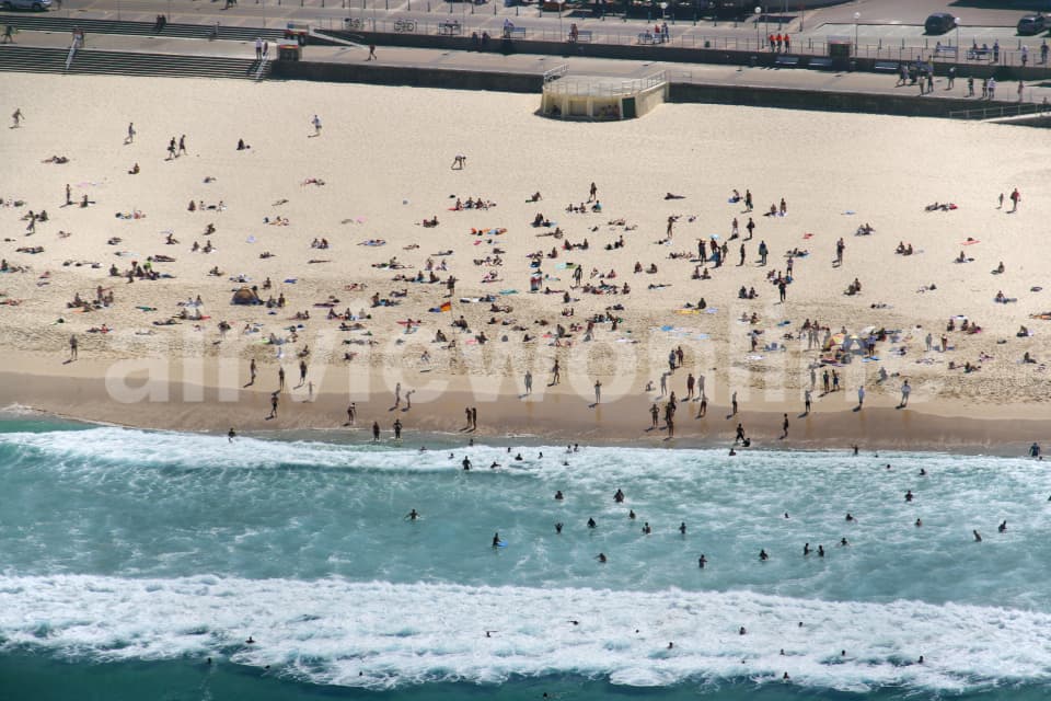 Aerial Image of Bondi Bathers - Lifestyle