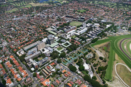 Aerial Image of UNIVERSITY OF NSW, RANDWICK
