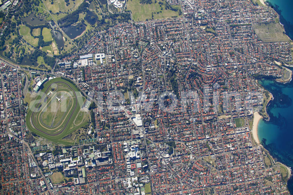 Aerial Image of Randwick high altitude
