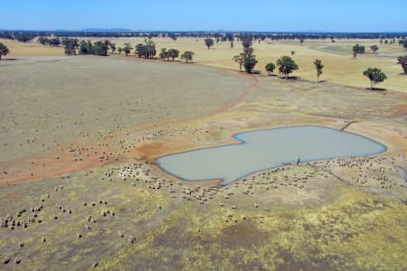 Aerial Image of DAM SHEEP, NSW