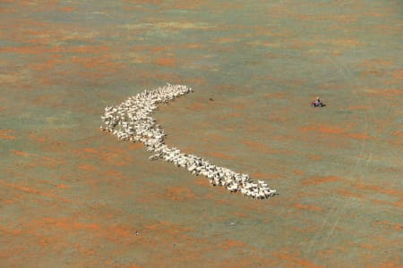 Aerial Image of SHEEP MUSTER, NSW
