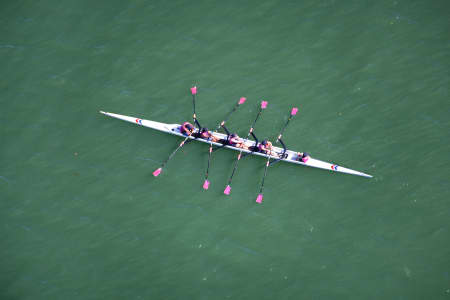 Aerial Image of ROWING ON THE PARRAMATTA RIVER