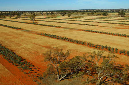 Aerial Image of OUTBACK CROPS