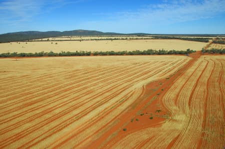 Aerial Image of SEWN FIELDS GOLD