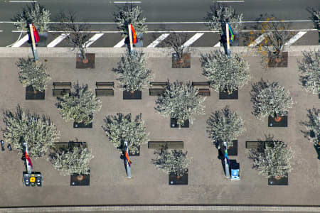 Aerial Image of GEOMETREE