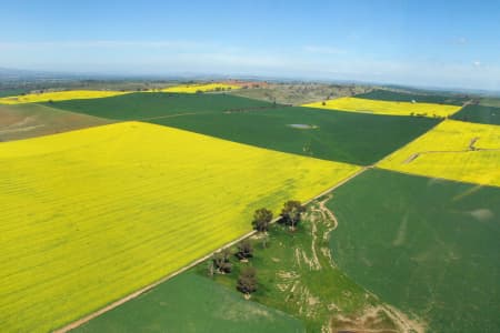 Aerial Image of GREEN & GOLD CHECKS