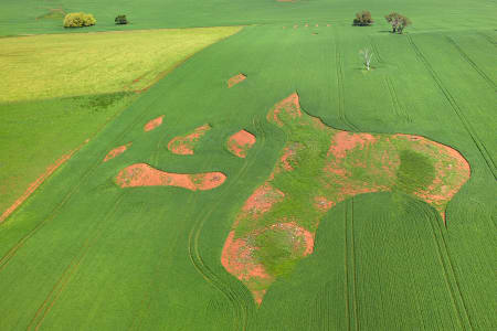 Aerial Image of CROP DESIGNS, WESTERN NSW